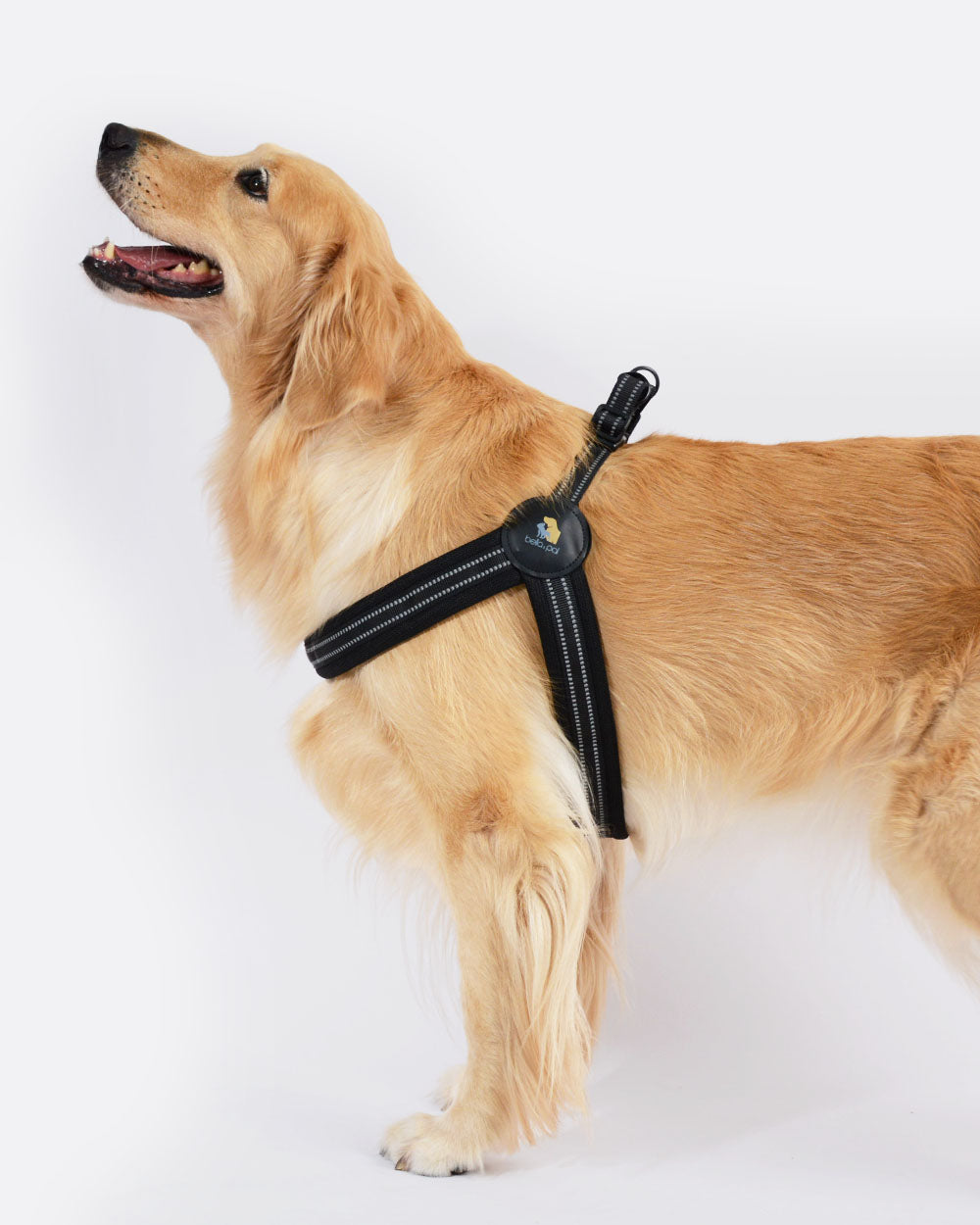 Simply Go Step-in Dog Harness - Classic Black